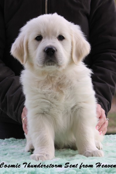 Mr Brown 7 Weeks_1.jpg